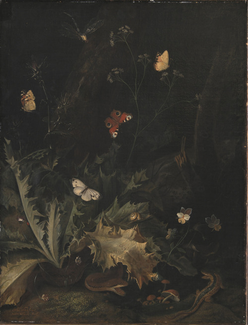 flyse:A Forest Floor with a Thistle, a Snake, a Lizard and Butterflies,Otto Marseus van Schrieck (Du