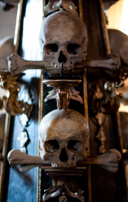 syotos-x:  40,000 souls Sedlec Ossuary Sedlec, Kutná Hora, Czech Republic 