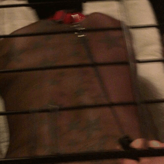 thedoghouse09:  Bitch in heat. @iamapaperuniverse