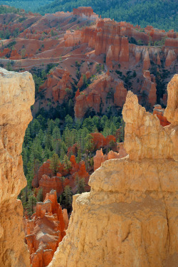 brutalgeneration:  Bryce Canyon (by jbs636)