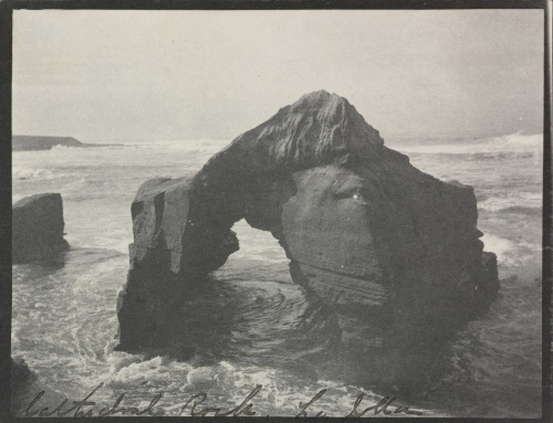 dame-de-pique:   Cathedral Rock. La Jolla., 1900-1910