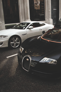 Premium Elegance.