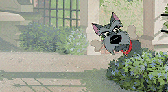 gayleykiyoko-archive: Get to know me meme: 19/20 animated movies » Lady and the