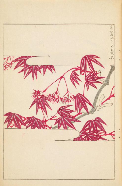 smithsonianlibraries: The leaves are starting to turn here in DC, so we thought we’d share some Autu