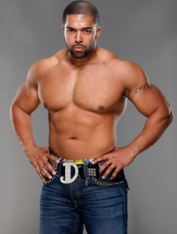 dexterblaquewrestling:  NXT/WWE Wrestler: David Otunga