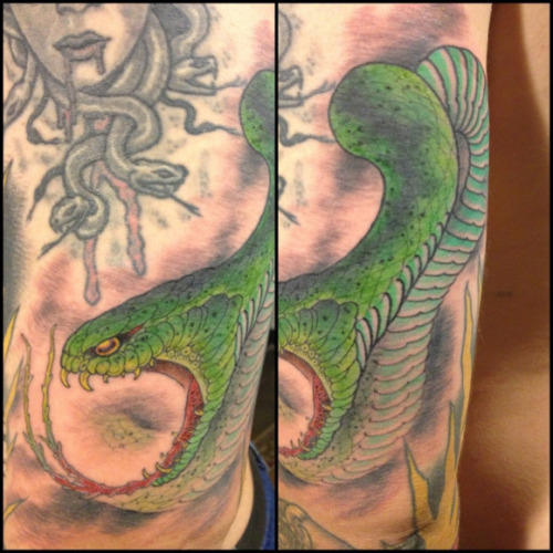 SNAKE DAY!!!!!!! By William Yoneyama (Melbourne, Australia) The Snake Master