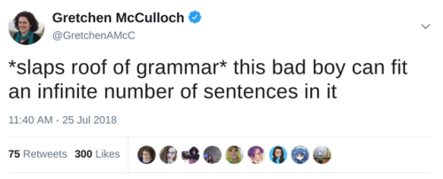 allthingslinguistic:*slaps roof of grammar* this bad boy can fit an infinite number of sentences in 
