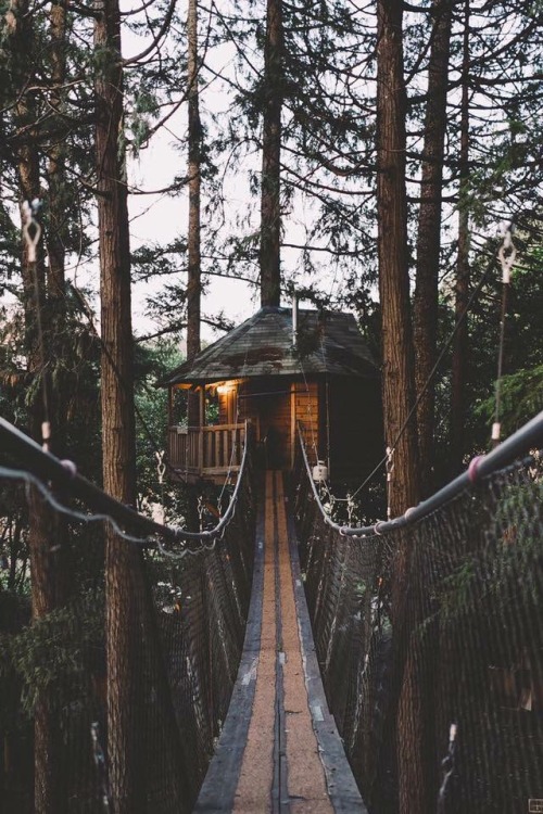 t0mmiewan:  the-suite-life-of-ellie:  X  Instagram XO by SoIn