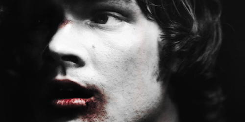 antiquers:sam winchester ( + blood )