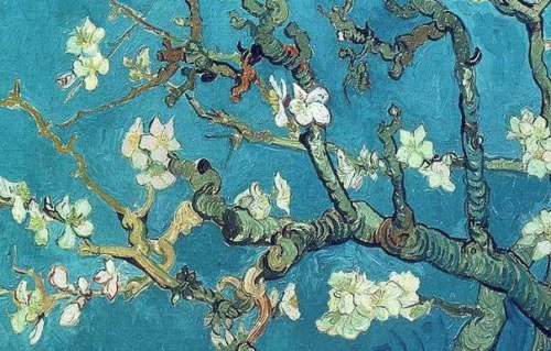 sunshinae: Flowers by Vicent van Gogh