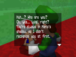 suppermariobroth:  Toads mercilessly ridiculing Luigi in Super Mario 64 DS. 