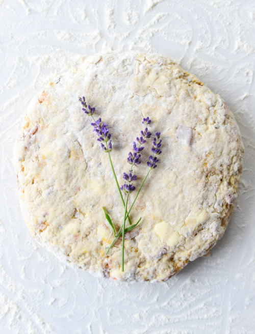 sweetoothgirl: caramelized peach and lavender scones
