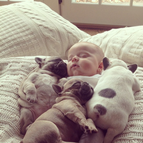 bnenetwork:  Babies and bulldogs. That’s all.  