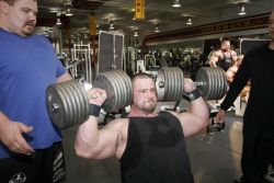 Muscle & Power Lifting Bear Pinups