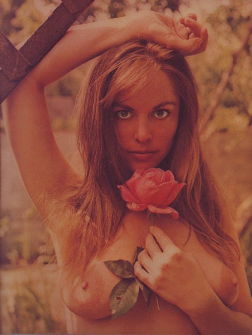 mondotopless:  Diane Webber