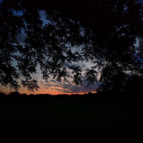 Sunset over the Ragdale prairie. #JustNorthOf #Chicago #Thanks –> #ThirdCoast #RadioResidency #MagicHour #ThereWereFirfliesToo #silhouette