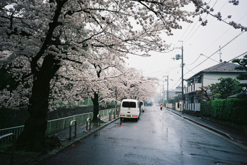 untitled by zyu10 on Flickr.