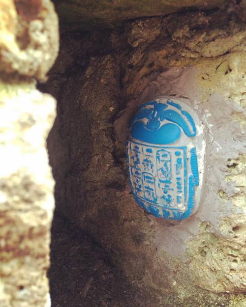 swanky-symbolism:The #Scarab is a messenger of your eternal spirit. You have been holding back - you