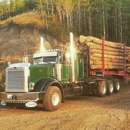Logging Throwback#logginglife #logtruck #logger #logtrailer #log #logtrucks #trucker #truckdriver #t