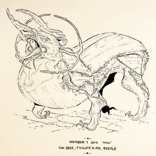 Inktober day 1 ring and my personal creatober day 1 - sun bear, frigate bird and beetle! (You can fi