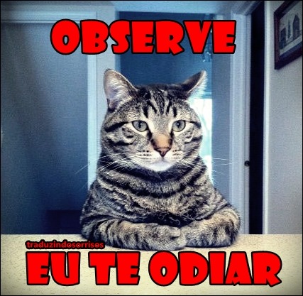 Aquele momento que a professora diz que vai me expulsar da sala: