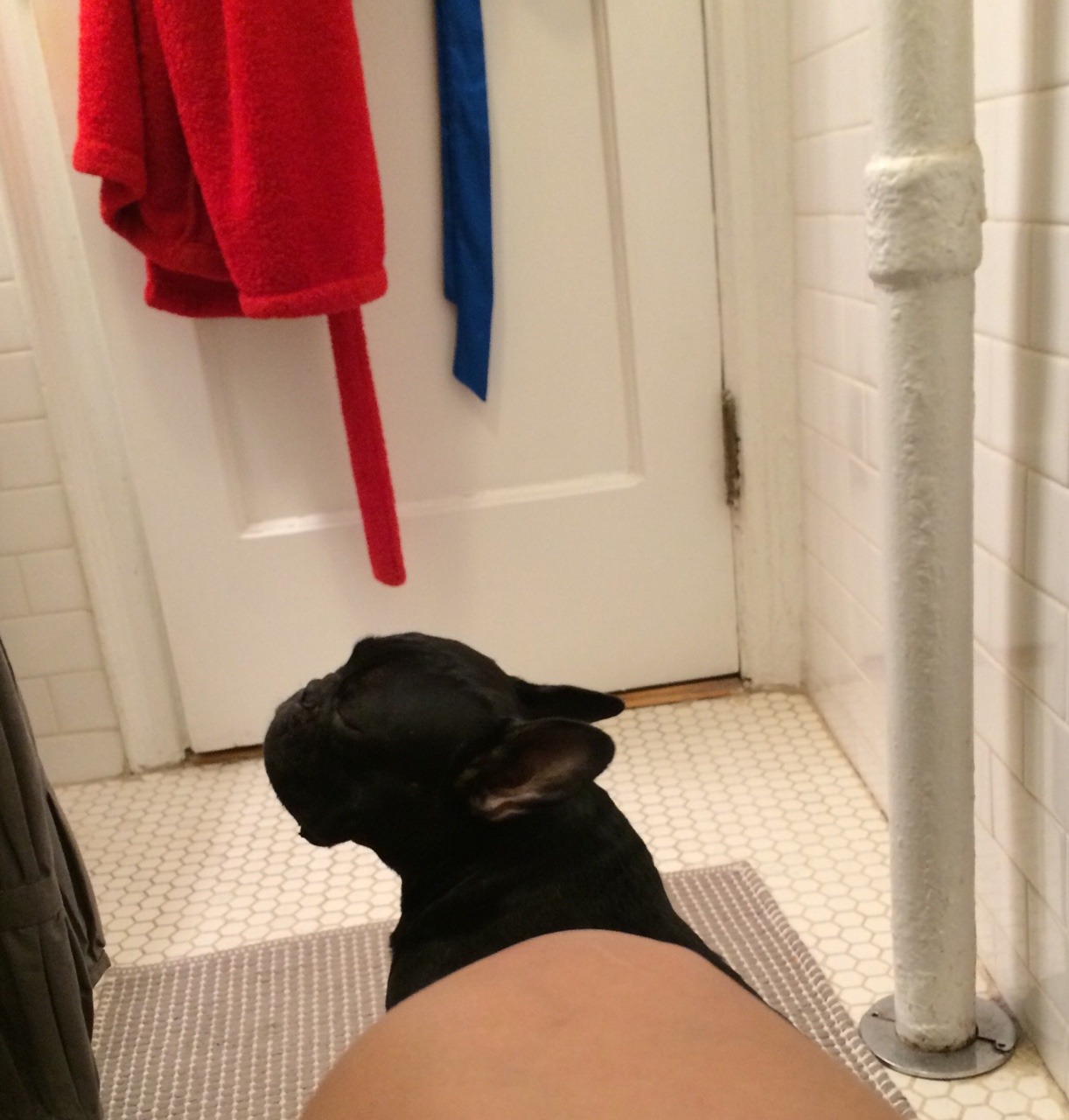 buckythefrenchy:  I guess it’s only fair. I watch him pee. He insists on watching