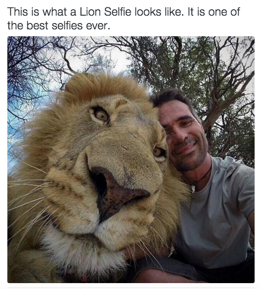 babyanimalimages:  Find happiness here 