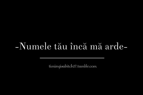 timingisabitch17:  Jurnalul Unei Anonime 