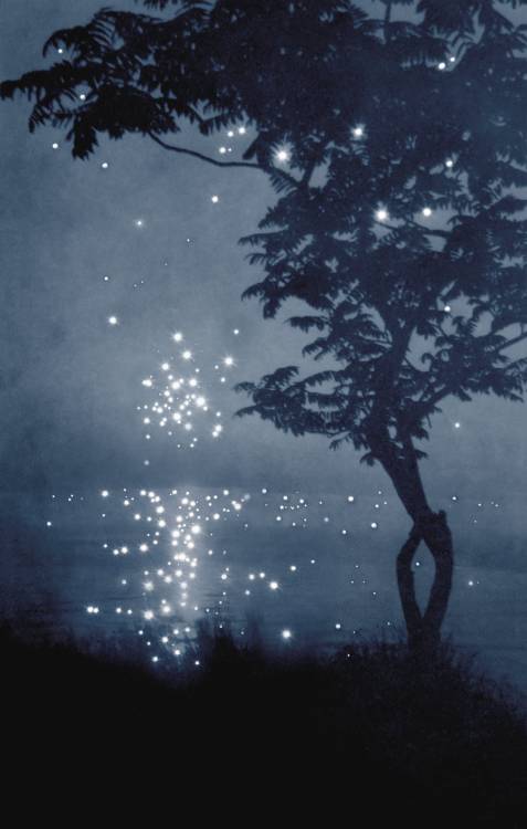 peacephotography: There Was Nothing Like That NightPhotograph: Amy Friend