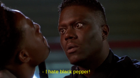 snoopbloggyblogg:  Bernie Mac representing 2015′s police force back in 1996. 