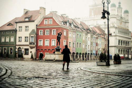 There Is Certain Element To The Foggy Days That I Find Extremely Rewarding…. Ewitsoe