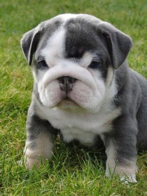 Ermehgerd! 😍😍