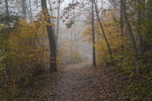 swedishlandscapes:Late october autumn scenery.