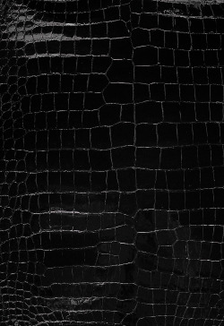 spookyemporium:  Texture | Black Crocodile