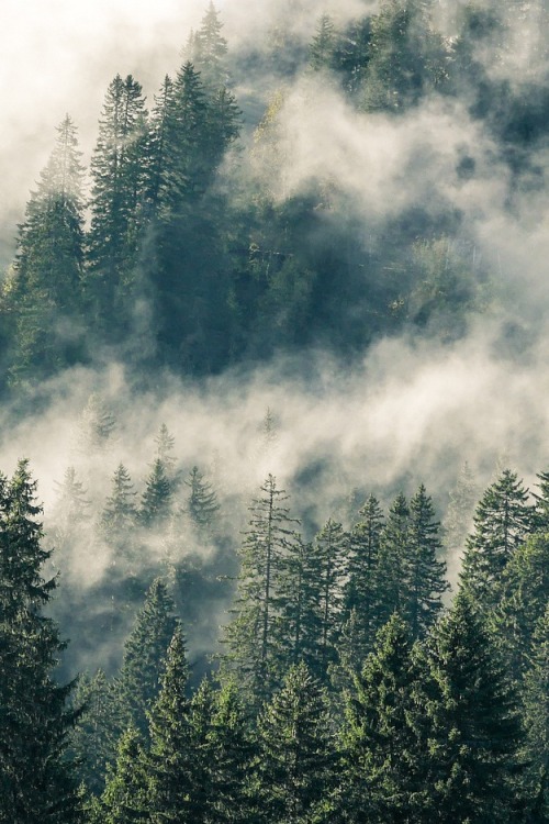 oh-haroo:  Follow me for more vertical nature! 