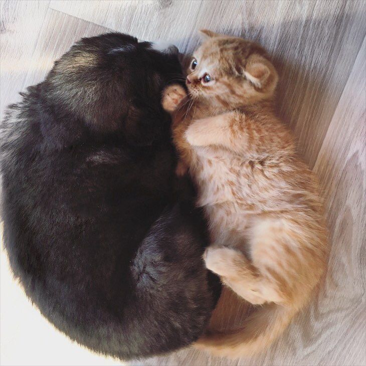 Коротко о моём дне ☺️ у сестры пополнение 😻