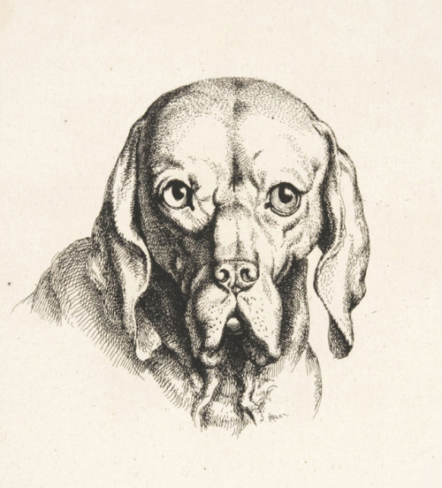 Johann Heinrich Wilhelm Tischbein, Plates from: Têtes de Différents Animaux dessinées d'après nature