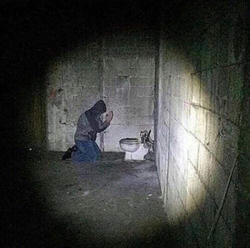 cursed-vault: @cursed-vault Done it