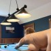 casey2689:morethan-a-handful:Playing strip billiards with my husband’s friend…