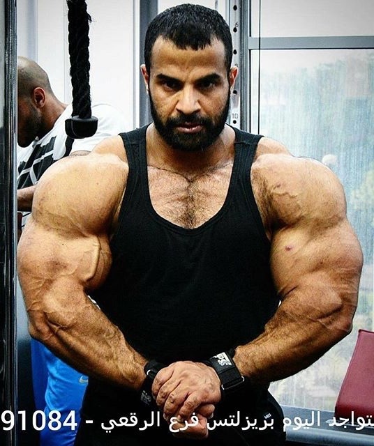 Ahmed el Wardany 