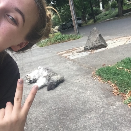 baearth:  made a new friend💛🐱