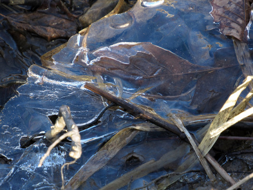 Ice forms on the riverbank 01/28/2018