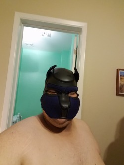 knights-of-the-chubby-republic:  I had a little playtime on my hands with Pup Punisher. It’s was an interesting and fun experience to say the least. Wearing the headgear slowly brings you into this other place of thought. It was awesome.