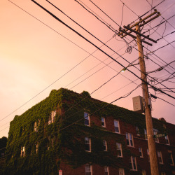 colleenmonahan:The sunsets in Boston recently have been fascinating. Allston, MA.June 2015Sony A7IG: colleeeenn