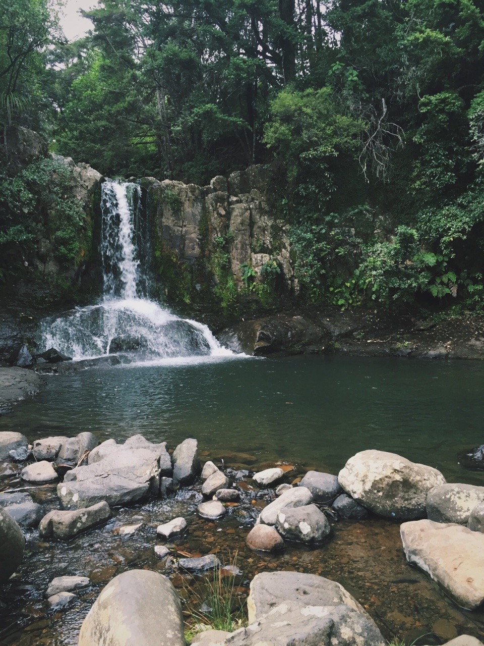morganlinforth:New Zealand though.