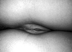myvelvetpussy96:  Myvelvetpussy up close…in black and white…squeezed between my legs…waiting to coaxed out for pleasure