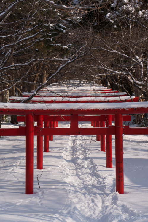 daily-keitaism:  札幌伏見稲荷神社 
