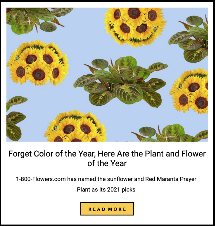 Roxbury Sunflower Project on Tumblr