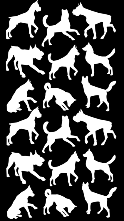 black and white dog backgrounds for @oxygen–is–overratedhope u like them :) xx