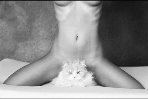 Yes, I'm still going to misbehave!